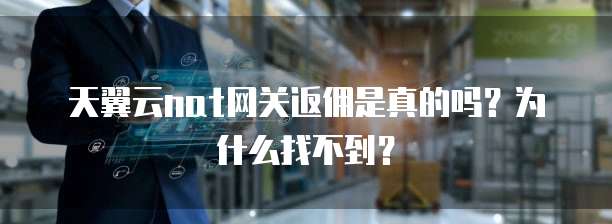 天翼云nat网关返佣是真的吗?为什么找不到?