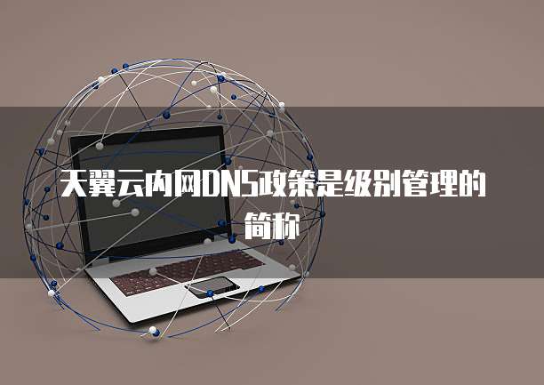 天翼云内网DNS政策是级别管理的简称