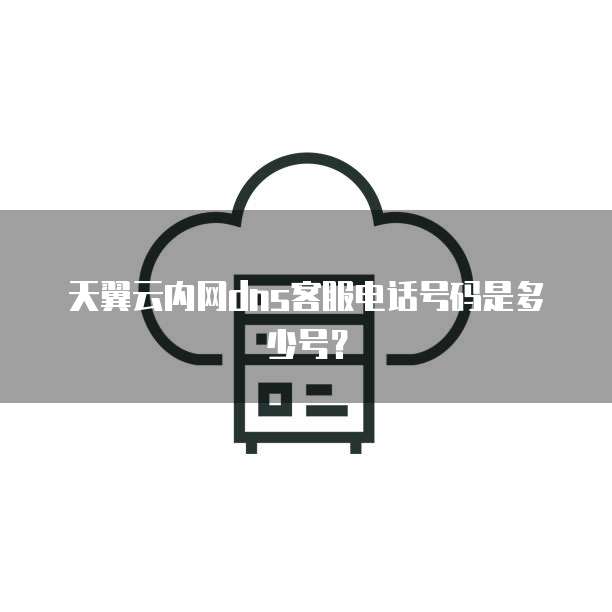天翼云内网dns客服电话号码是多少号?