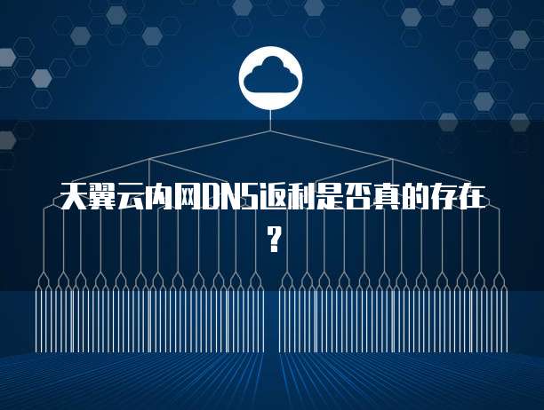 天翼云内网DNS返利是否真的存在?