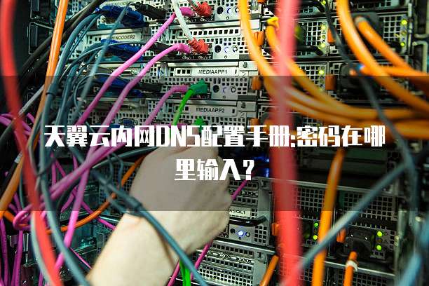 天翼云内网DNS配置手册:密码在哪里输入?