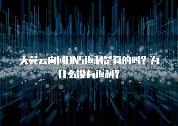 天翼云内网DNS返利是真的吗?为什么没有返利?