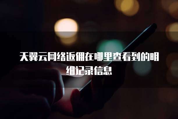 天翼云网络返佣在哪里查看到的明细记录信息