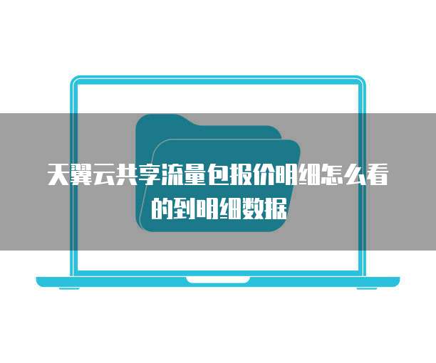 天翼云共享流量包报价明细怎么看的到明细数据