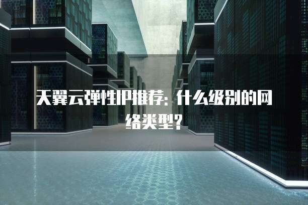 天翼云弹性IP推荐: 什么级别的网络类型?