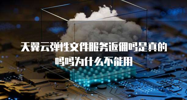 天翼云弹性文件服务返佣吗是真的吗吗为什么不能用