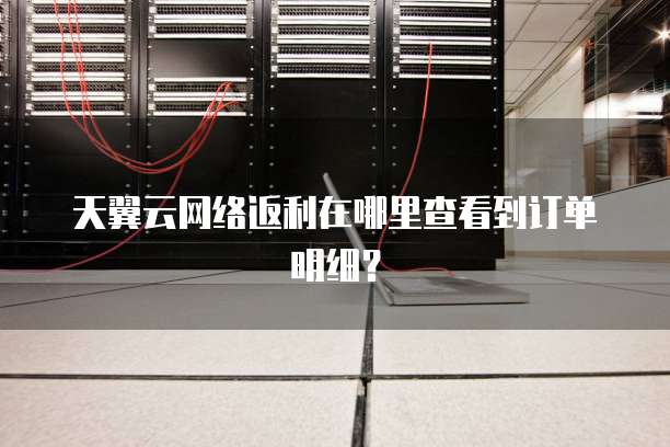天翼云网络返利在哪里查看到订单明细?