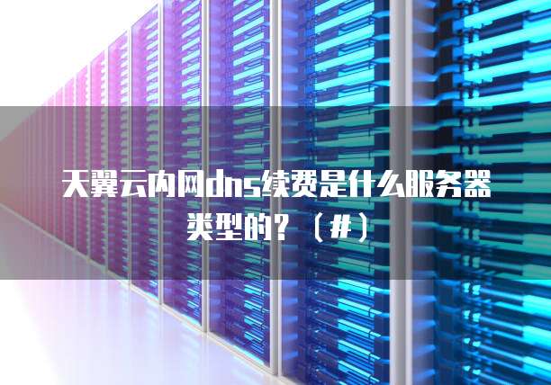 天翼云内网dns续费是什么服务器类型的？（#）