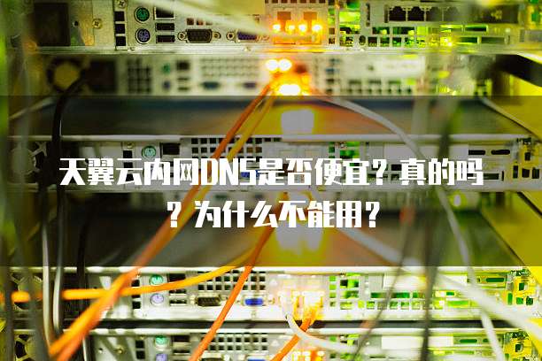 天翼云内网DNS是否便宜？真的吗？为什么不能用？