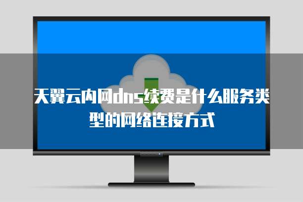 天翼云内网dns续费是什么服务类型的网络连接方式