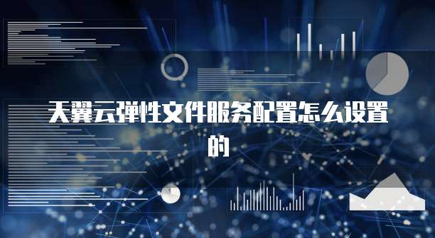 天翼云弹性文件服务配置怎么设置的
