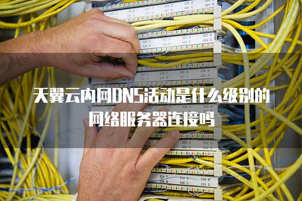 天翼云内网DNS活动是什么级别的网络服务器连接吗