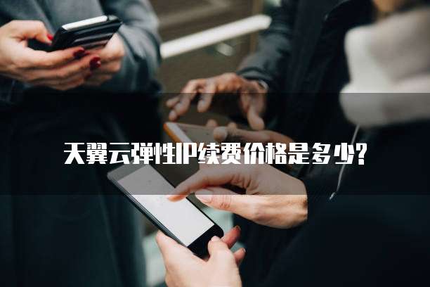 天翼云弹性IP续费价格是多少?