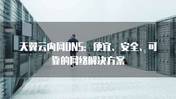 天翼云内网DNS:便宜、安全、可靠的网络解决方案