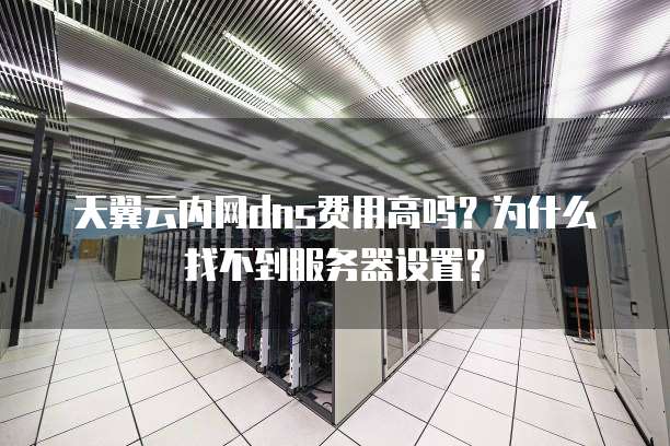 天翼云内网dns费用高吗？为什么找不到服务器设置？