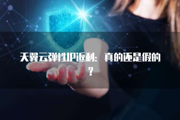 天翼云弹性IP返利:真的还是假的?