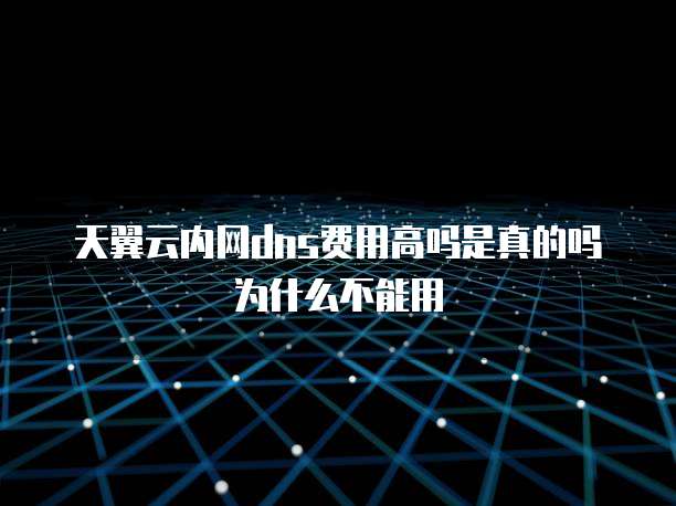 天翼云内网dns费用高吗是真的吗为什么不能用