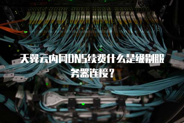 天翼云内网DNS续费什么是级别服务器连接?