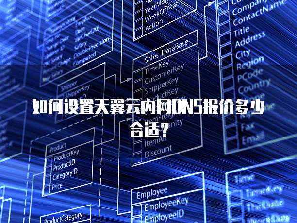 如何设置天翼云内网DNS报价多少合适?