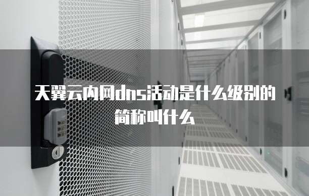 天翼云内网dns活动是什么级别的简称叫什么