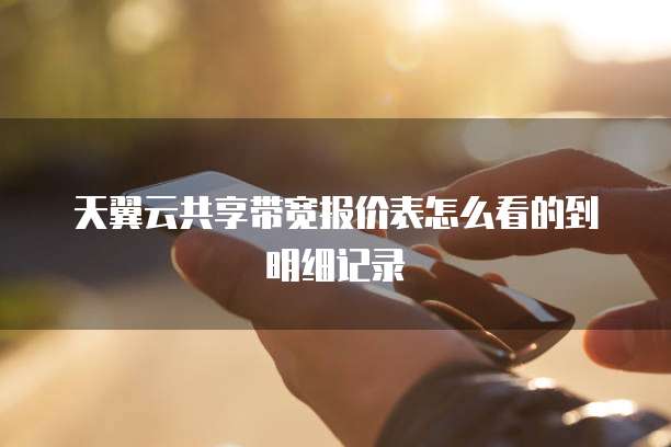 天翼云共享带宽报价表怎么看的到明细记录