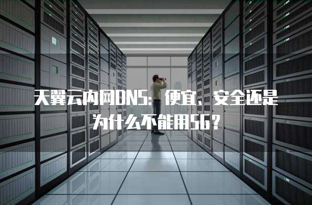 天翼云内网DNS:便宜、安全还是为什么不能用5G?