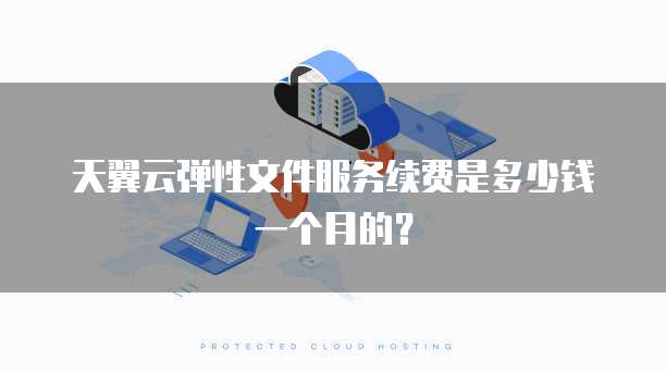 天翼云弹性文件服务续费是多少钱一个月的?