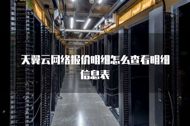天翼云网络报价明细怎么查看明细信息表