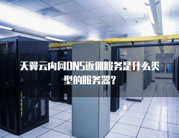 天翼云内网DNS返佣服务是什么类型的服务器?