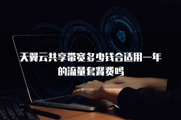 天翼云共享带宽多少钱合适用一年的流量套餐费吗