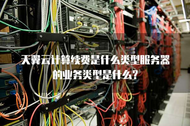 天翼云计算续费是什么类型服务器的业务类型是什么？