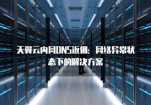 天翼云内网DNS返佣:网络异常状态下的解决方案