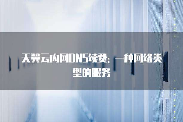 天翼云内网DNS续费: 一种网络类型的服务