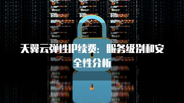 天翼云弹性IP续费:服务级别和安全性分析