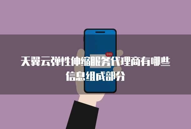 天翼云弹性伸缩服务代理商有哪些信息组成部分