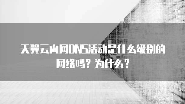 天翼云内网DNS活动是什么级别的网络吗?为什么?
