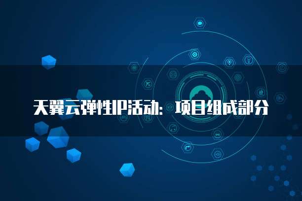 天翼云弹性IP活动:项目组成部分