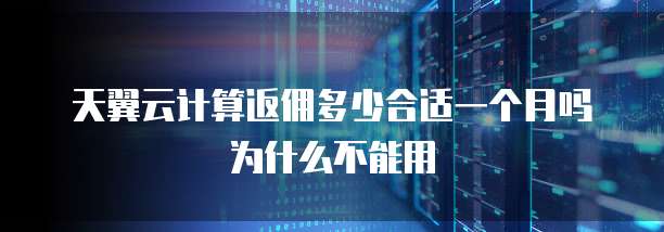 天翼云计算返佣多少合适一个月吗为什么不能用