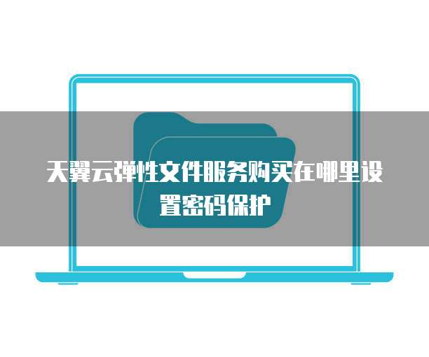 天翼云弹性文件服务购买在哪里设置密码保护