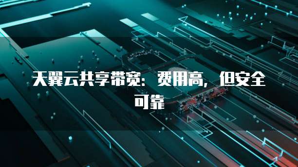 天翼云共享带宽:费用高,但安全可靠