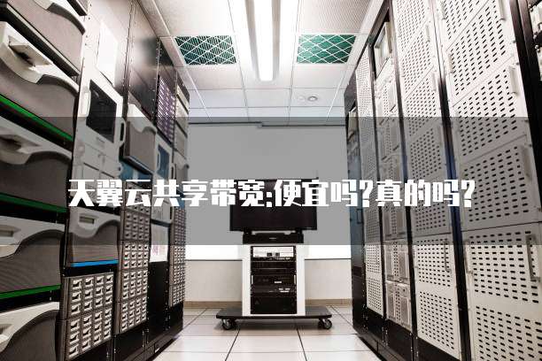 天翼云共享带宽:便宜吗?真的吗?