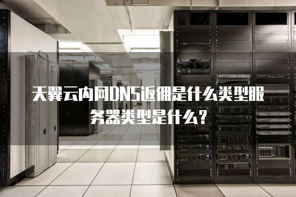 天翼云内网DNS返佣是什么类型服务器类型是什么?