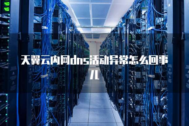 天翼云内网dns活动异常怎么回事儿
