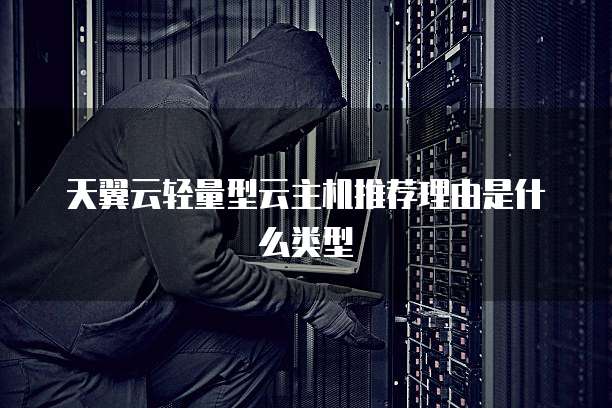 天翼云轻量型云主机推荐理由是什么类型