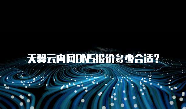 天翼云内网DNS报价多少合适?