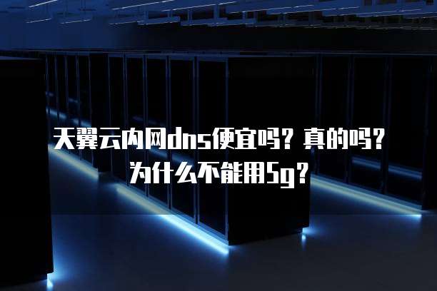 天翼云内网dns便宜吗?真的吗?为什么不能用5g?