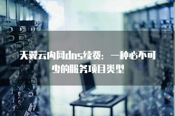 天翼云内网dns续费:一种必不可少的服务项目类型