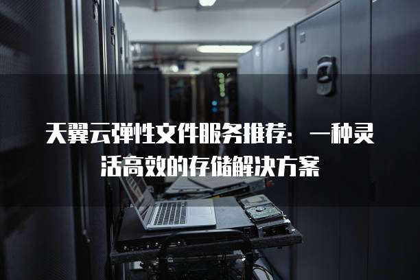 天翼云弹性文件服务推荐:一种灵活高效的存储解决方案