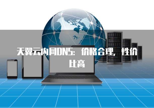 天翼云内网DNS:价格合理,性价比高
