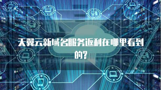 天翼云新域名服务返利在哪里看到的?